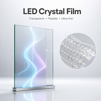 Film LED Flexible en Cristal Transparent Ultra-Fin (2-10mm d'épaisseur) Pleine Couleur 16:9 IP43 pour Magasins et Ascenseurs – Fabricant Chinois