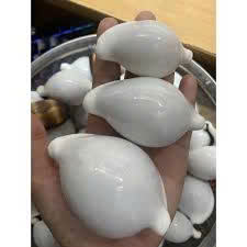 Coquillage du meilleur fournisseur avec un prix compétitif/Coquillages naturels en vrac en provenance du Vietnam - Product Image 4