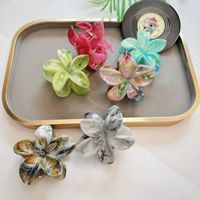 Klip cakar rambut bunga untuk wanita gadis Plumeria Hibiscus klip rambut bunga Hawaii hadiah aksesori rambut pantai musim panas