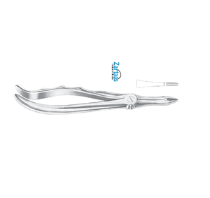 Pince d'extraction en acier inoxydable de haute qualité racines supérieures fig.44 exportateurs et fabricant - Product Image 3