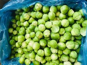 ที่มีคุณภาพสูงสีเขียวผักอบแห้งเวียดนามกะหล่ำปลี Akina - Product Image 6