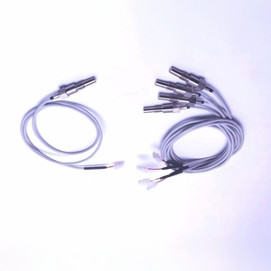 Thermocouple haute température Pt1000 Mini Rtd Pt100 Capteurs pour autoclave - Product Image 1