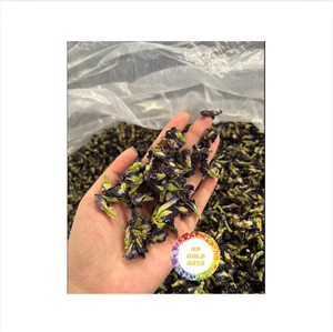 Fleur de pois papillon séchée pétales séchés authentiques origine du Vietnam largement utilisée dans les cocktails de brassage de thé et la garniture de dessert - Product Image 2