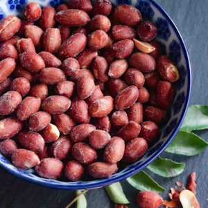 Bulk Raw Peanuts Großhandel Bio Erdnuss kerne Non GMO Essbare Erdnuss Premium Bold <span class=keywords><strong>Java</strong></span> Export Lieferanten - Product Image 4