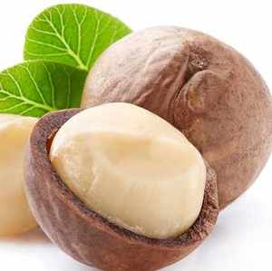 Noix de macadamia séchées pour usage alimentaire Noix de macadamia grillées biologiques - Product Image 5