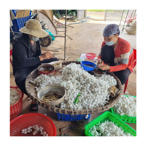 Coton cocon de soie pour la literie et les vêtements de luxe au meilleur prix - Product Image 2