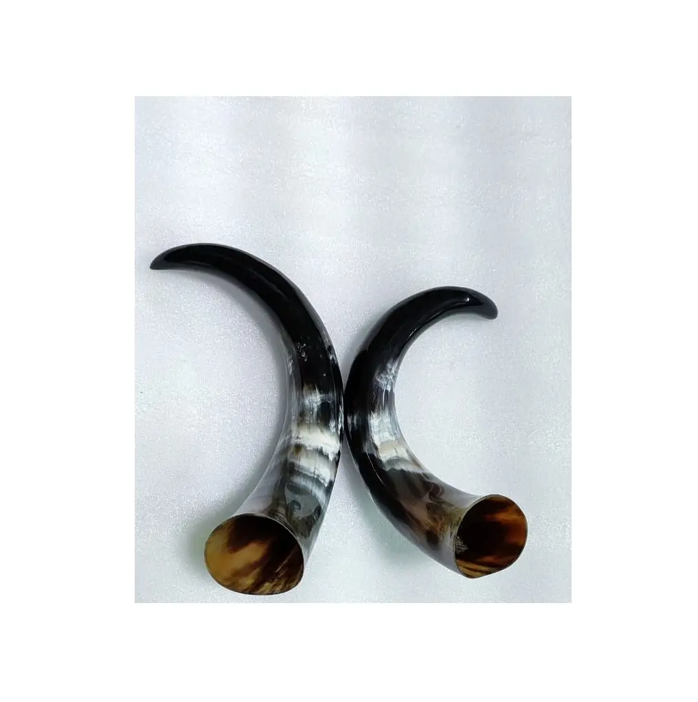 Buffalo pair horn for home decorate use horn Pair for customized size Gifts & Crafts buffalo pair horn with sale
