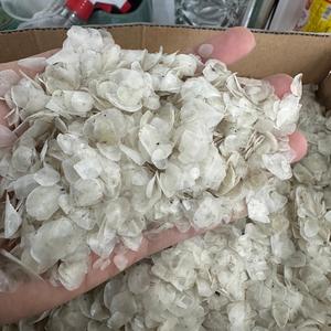 เกล็ดปลาแห้งสีขาวปลานิลและปลากะพงขาวสำหรับสกัดคอลลาเจนเป็นจำนวนมากขายส่งมาจากโรงงานเวียดนาม