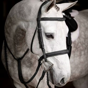 Brida de caballo de cuero MOQ bajo Estilos ingleses occidentales personalizados Brida de equitación de cuero genuino Proveedor al por mayor tendencia 2025 - Product Image 1