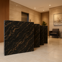 Carreaux et dalles en granit noir naturel Tailles personnalisées et standard pour la construction extérieure à l'échelle mondiale