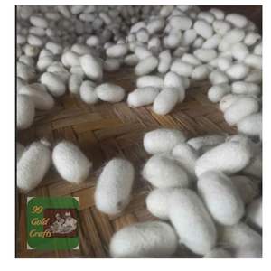 Capullos de gusano de seda Mulberry secos de Venta caliente para el cuidado de la piel limpieza facial y fabricación de hilo de seda industrial - Product Image 2