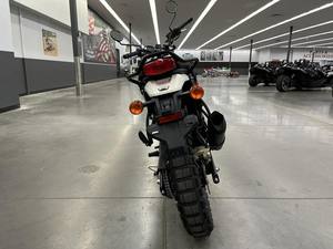 Nueva Motocicleta de Calle Royals Enfields Scram 411 de 411 cc, 1 Cilindro, 4 Tiempos, Lista para Exportar a Todo el Mundo - Product Image 3