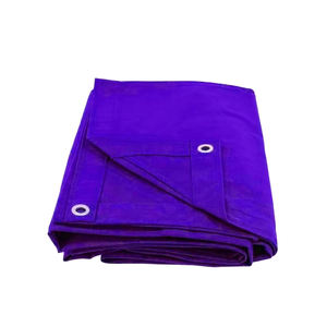 Tapete de Boxeo Personalizable Ecológico de Alta Calidad con MOQ Bajo, Fabricante OEM para Artes Marciales - Product Image 1