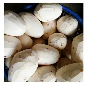 Frozen Taro Vietnam Vegetable 100% Natural High Quality Export Standard With Best Price For Fresh Whole Taro