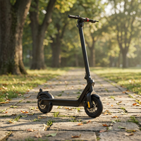 Venta al por mayor scooter eléctrico usado barato Scooter Eléctrico para adultos con asiento hecho en China e scooter