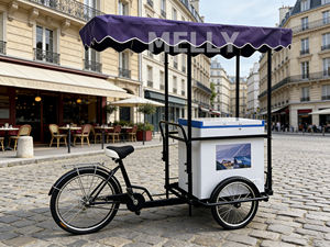 アイスクリームや冷たい飲み物用のカスタムスチール製フードカート三輪車（冷凍庫付き） - Product Image 2