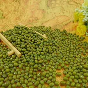 Frijoles Mung Verdes / Frijoles Vigna Mung de Primera Calidad, Frijoles Mung Naturales Convencionales - Product Image 5