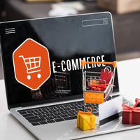 Marketing B2B E-commerce : Conception de Sites Web PHP Vérifiés, Concepteurs, Développeur Web et Services de Marketing Digital