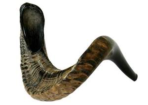 Cuerno de carnero de tamaño mediano Shofar Artesanías naturales Cuerno de búfalo Cuerno para beber Estilo animal pulido Decoración del hogar para Navidad - Product Image 3