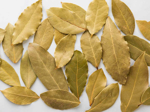 FEUILLES DE BAIN SÉCHÉES DE QUALITÉ SUPÉRIEURE NATURELLES OFFRE EN GROS MEILLEURE VENTE FOURNITURE À L'EXPORTATION POUR LES DISTRIBUTEURS ALIMENTAIRES MONDIAUX - Product Image 2