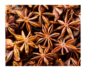 Anís estrellado al por mayor, anís estrellado rojo seco, semillas tamizadas de anís y anís estrellado de rama seca - Product Image 6