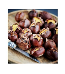 2025 mejor nueva cosecha de castañas orgánicas frescas al por mayor castañas frescas con cáscara suministro directo de fábrica - Product Image 4