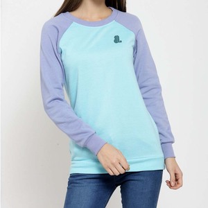 2026 venta al por mayor mujeres bordado Color bloque cuello redondo sudadera poliéster/algodón invierno gran tamaño bloque Panel - Product Image 2