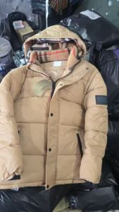 Chaqueta de Plumón para Invierno 2026 al por Mayor, Nueva Chaqueta de Plumón Impermeable y Cortavientos con Mangas Desmontables y Acolchado Grueso - Product Image 2