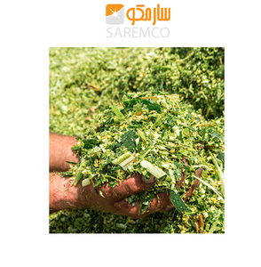 Ensilage de maïs fermenté Ensilage de maïs de haute qualité pour la santé et la croissance du bétail Balles d'ensilage de maïs pour une durée de conservation prolongée - Product Image 6