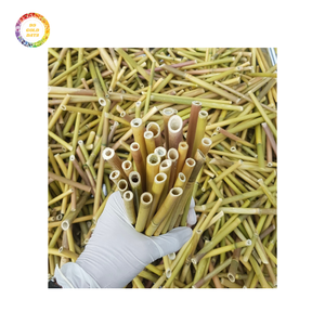 Pailles à boire jetables écologiques durables pour un usage quotidien sans produits chimiques pour les voyages - Product Image 4