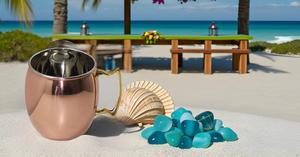 Solid Stainless Steel Copper Moscow Mule for Mugs 18 oz Capacity with Nickel Lined Round-Handle Pure Copper Cup Gift Design - Product Image 6