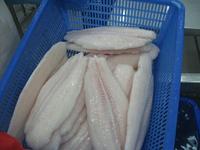 Filet de pangasius surgelé Poisson du Vietnam de qualité supérieure