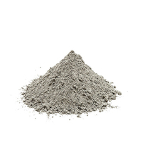 Ciment Portland 42.5R Prix Usine Décoratif Sac de 40kg Vente en Gros Qualité Export Livraison Rapide Approvisionnement Mondial Durcissement Rapide