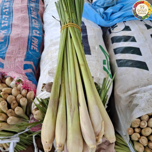 Vietnam Fresh Lemongrass Produced From Premium Herb Material For Flavor Mixing Projects And Home Cooking Ingredient Supply - Product Image 3