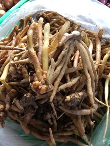 ผู้จัดจำหน่ายจากเวียดนาม รากมังกรแช่แข็ง รากมังกรแช่แข็งบริสุทธิ์ 5.29 ออนซ์ รากมังกรแช่แข็ง ถุง 4 ออนซ์ - Product Image 5