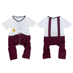 Ropa para mascotas de Vietnam, precio directo de alta calidad, mono bonito de primavera y verano de fábrica, ropa para perros, monos para cachorros - Product Image 1