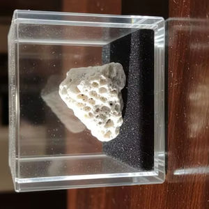 Cuentas de Coral Fósil Rosa Natural, Forma de Tambor Redondo, Perforadas en el Centro, para Joyería, Cabujón Maki, Piedras Preciosas Sueltas al por Mayor, 20% de Descuento y Regalo - Product Image 3