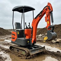 Mini-excavatrice hydraulique pour creusement de fossés et plantation de semis