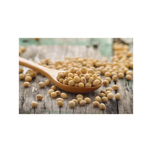 Wholesale Quality High Grade Non Gmo Organic Yellow <b>Soybeans</b> Delicious <b>Soybeans</b> Sale by Bulk Supplier - Product Image 2