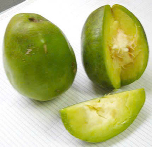 Fruta de ambarella asequible, fresca y de alta calidad - Product Image 2