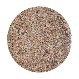 Graine de lin en vrac produit de haute qualité graines de lin à vendre