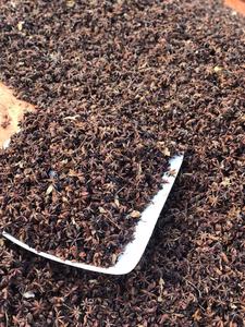 Anís estrellado orgánico de Vietnam de alta calidad, tipo de procesamiento crudo seco de grado premium picante, precio competitivo - Product Image 6