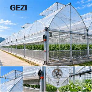 Serra a più campate con archi gotici, copertura in film collegata alle grondaie e design anti-neve per la coltivazione commerciale di ortaggi - Product Image 4