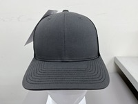 Envío gratis pequeño MOQ 25 piezas gorra de camionero auténtico en stock multicolor fabricado en fábrica vietnamita gorra Snapback