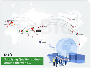 Máquina de Compostaje y Reciclaje de Alimentos de Alta Tecnología con Capacidad de 2000 kg/día, Disponible para Compradores al por Mayor (TEST) - Product Image 6
