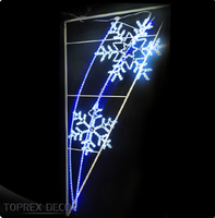 Lumière de Noël illuminée en plein air 2d festival en plein air pôle motif lampadaire pour la décoration du nouvel an