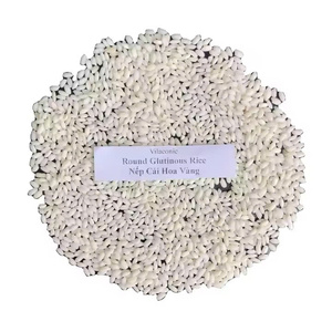 Riz gluant de riz gluant blanc à grains ronds de haute qualité du Vietnam pour les grossistes (WA/Linked/Viber + 84 975 499 129 Ms.Van) - Product Image 6