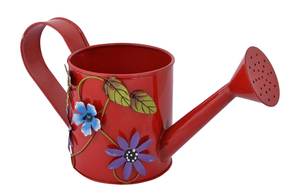 Regadera Moderna Ecológica de Diseño Personalizado, de Hierro Galvanizado, Capacidad de 1.8L, Fabricante y Exportador Directo - Product Image 2