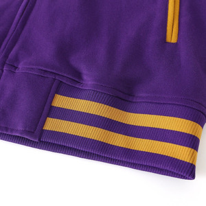 Veste en molleton Omega 1911 Varsity, veste universitaire, sororité, haute qualité, respirante, vêtements grecs, vestes pour hommes et femmes - Product Image 5