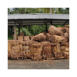 Matériau de jacinthe d'eau séchée à prix compétitif/jacinthe d'eau séchée pour l'artisanat de haute qualité - Product Image 6